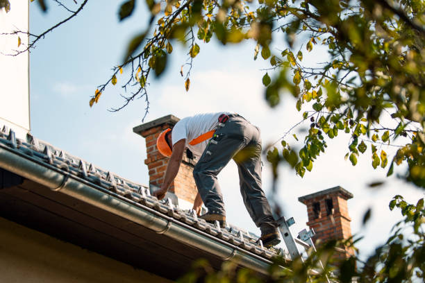 Roof Insulation in Wilson, WY