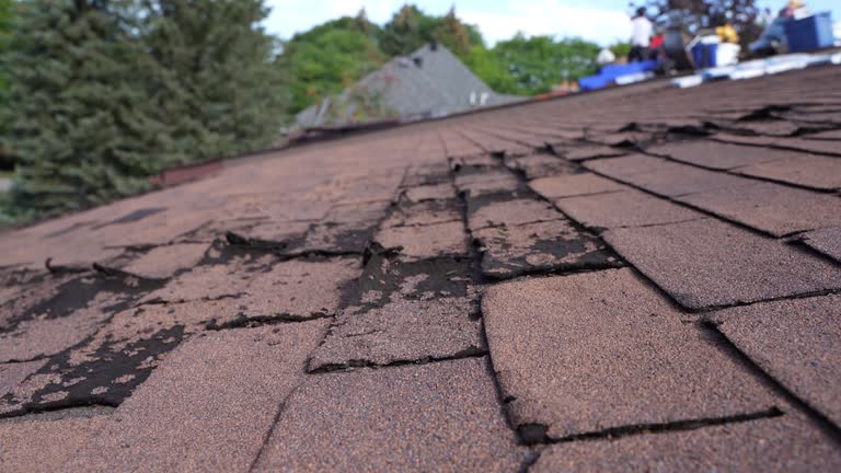 Best Sheet Metal Roofing  in Wilson, WY