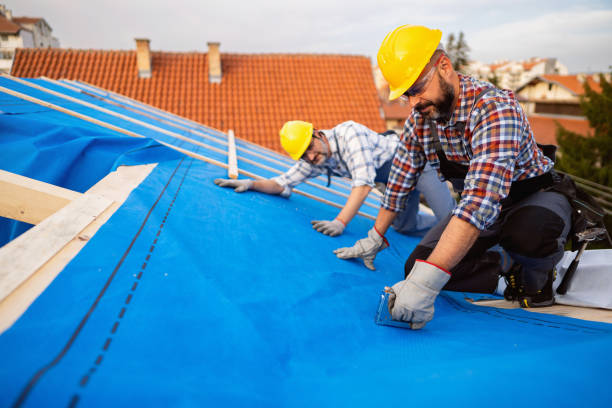 Best Roof Maintenance and Cleaning  in Wilson, WY